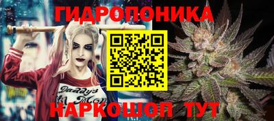 стаф Аша