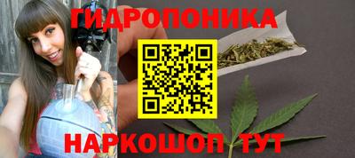 стаф Аша