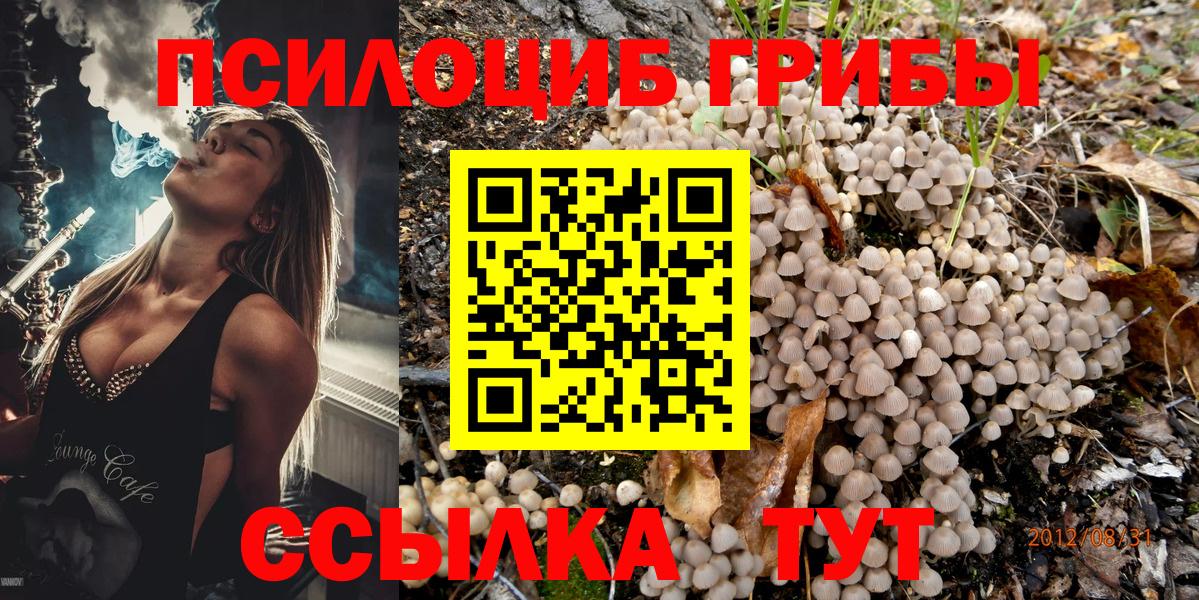 Галлюциногенные грибы мицелий  Вход с VPN  Шахты 