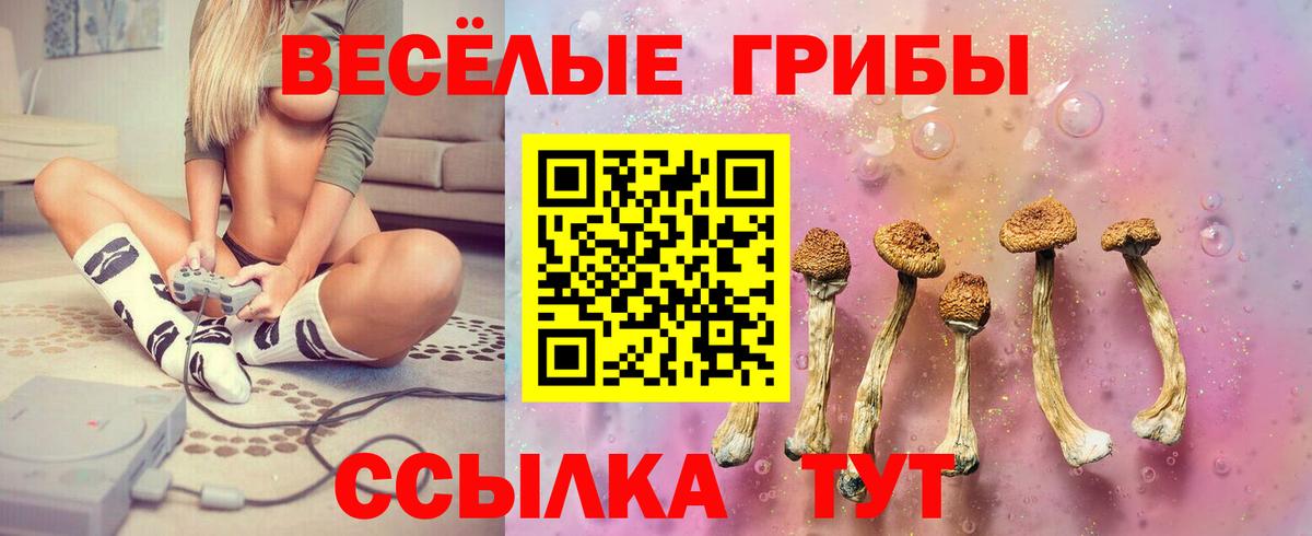 Галлюциногенные грибы Psilocybe Шахты